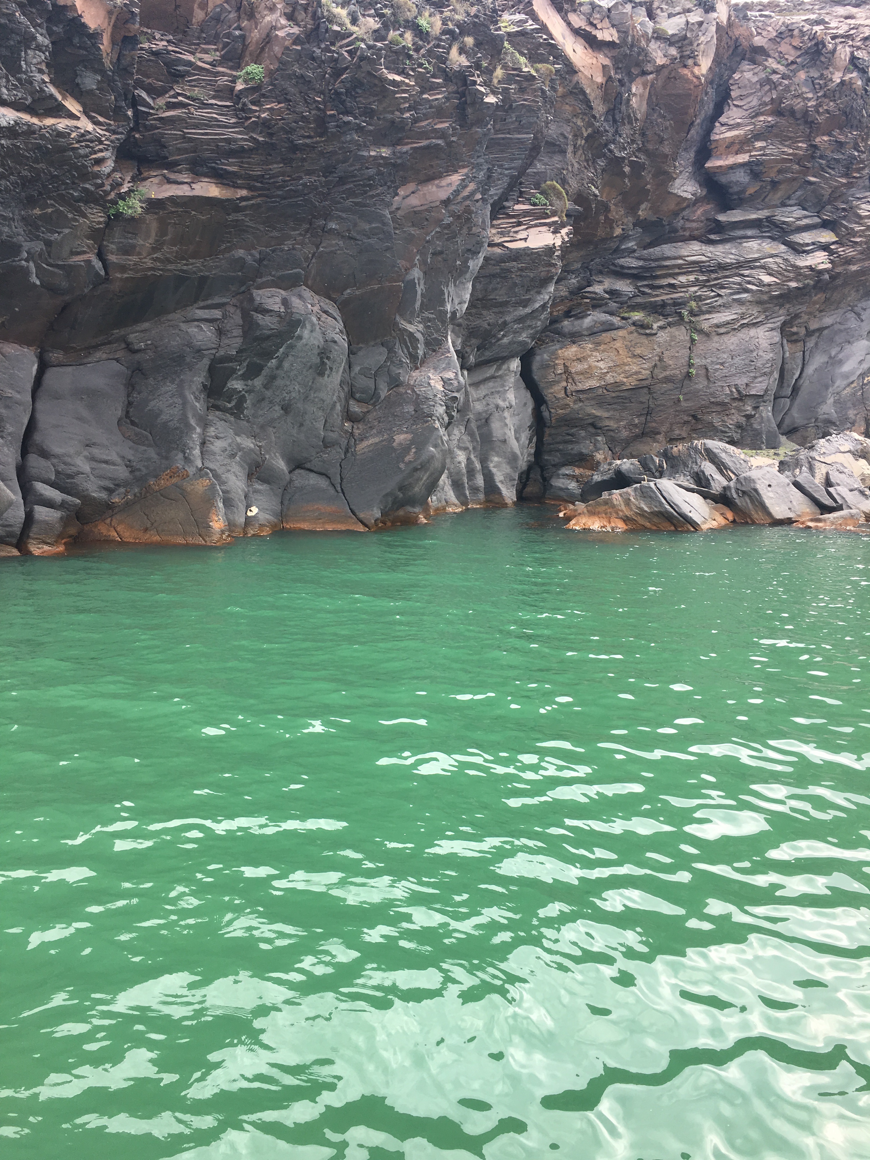 Ebony Cliffs Near Hot Springs