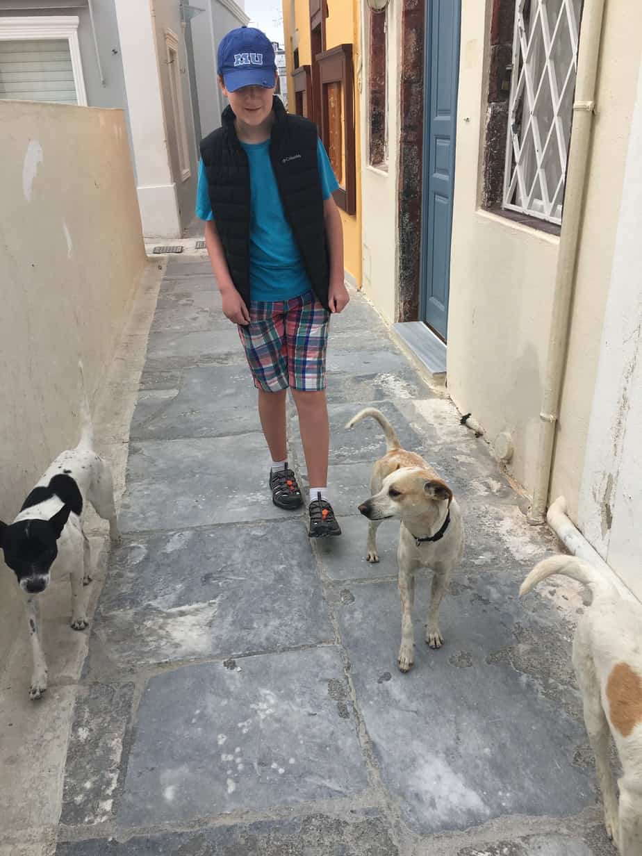 Our Hiking Buddies