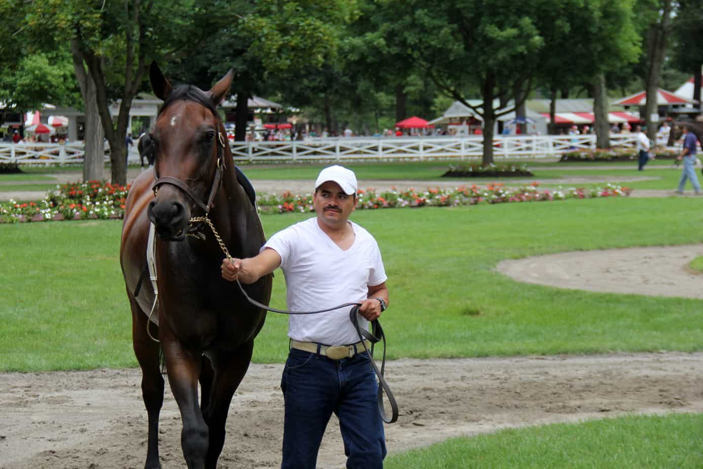 Horse is the star at Saratoga Race Course