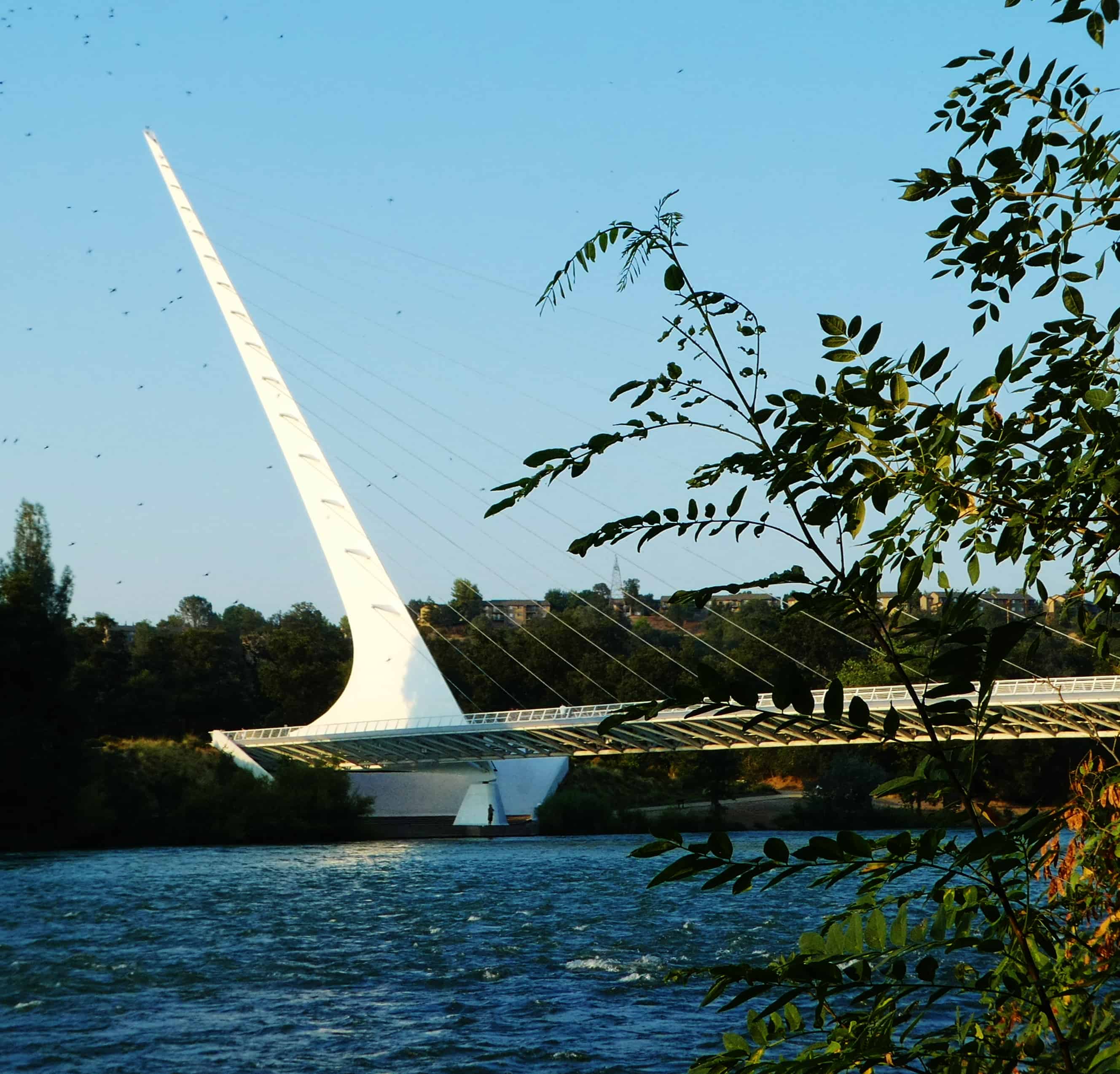Sundial Bridge Sacramento River Redding