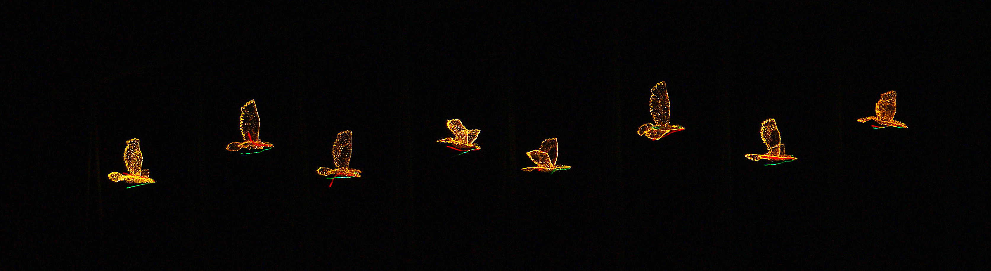 Lighting of the Doves