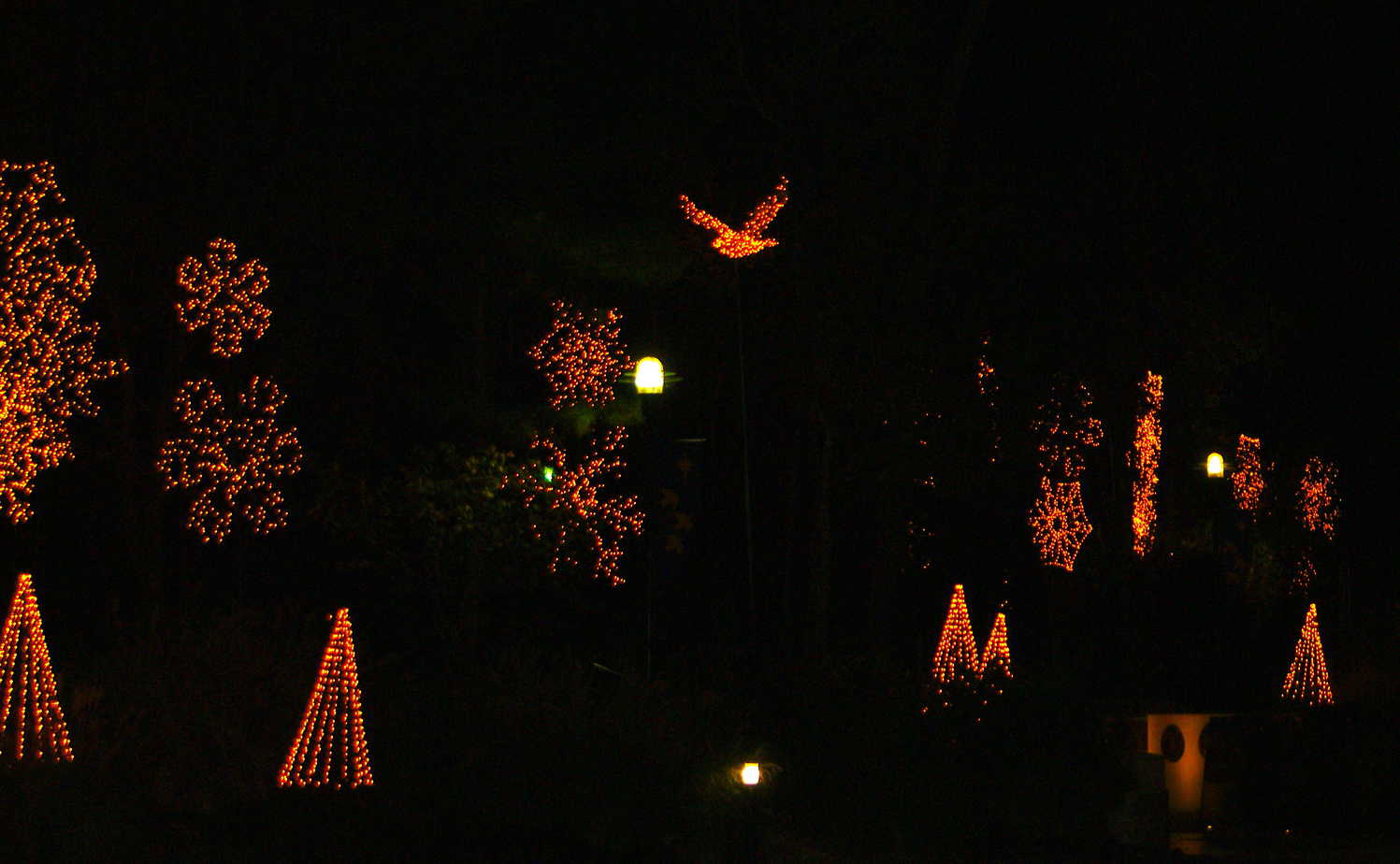 Lights on waterway near library