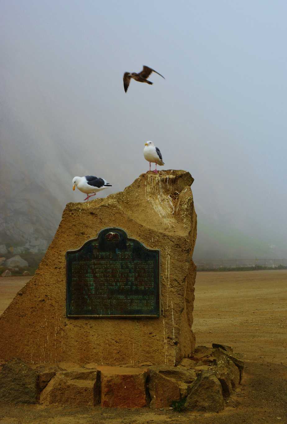 Morro Rock