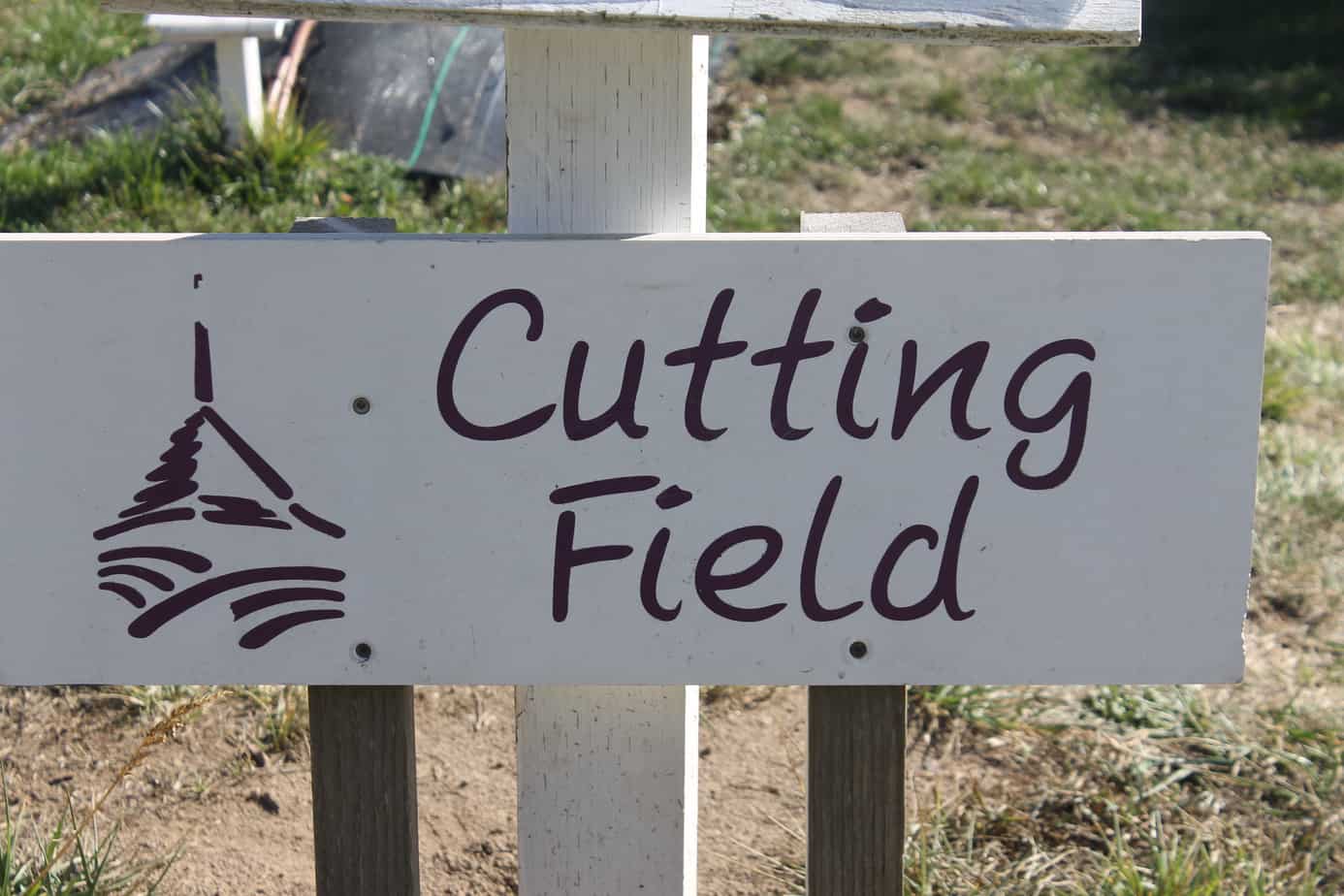 Pelindaba Cutting fields