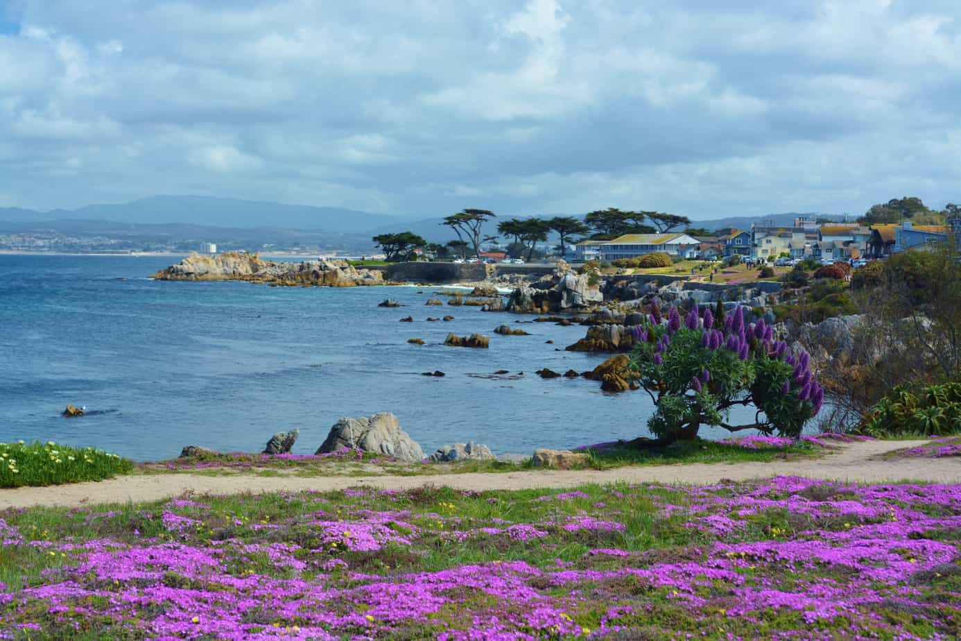 Monterey Bay National Marine Sanctuary