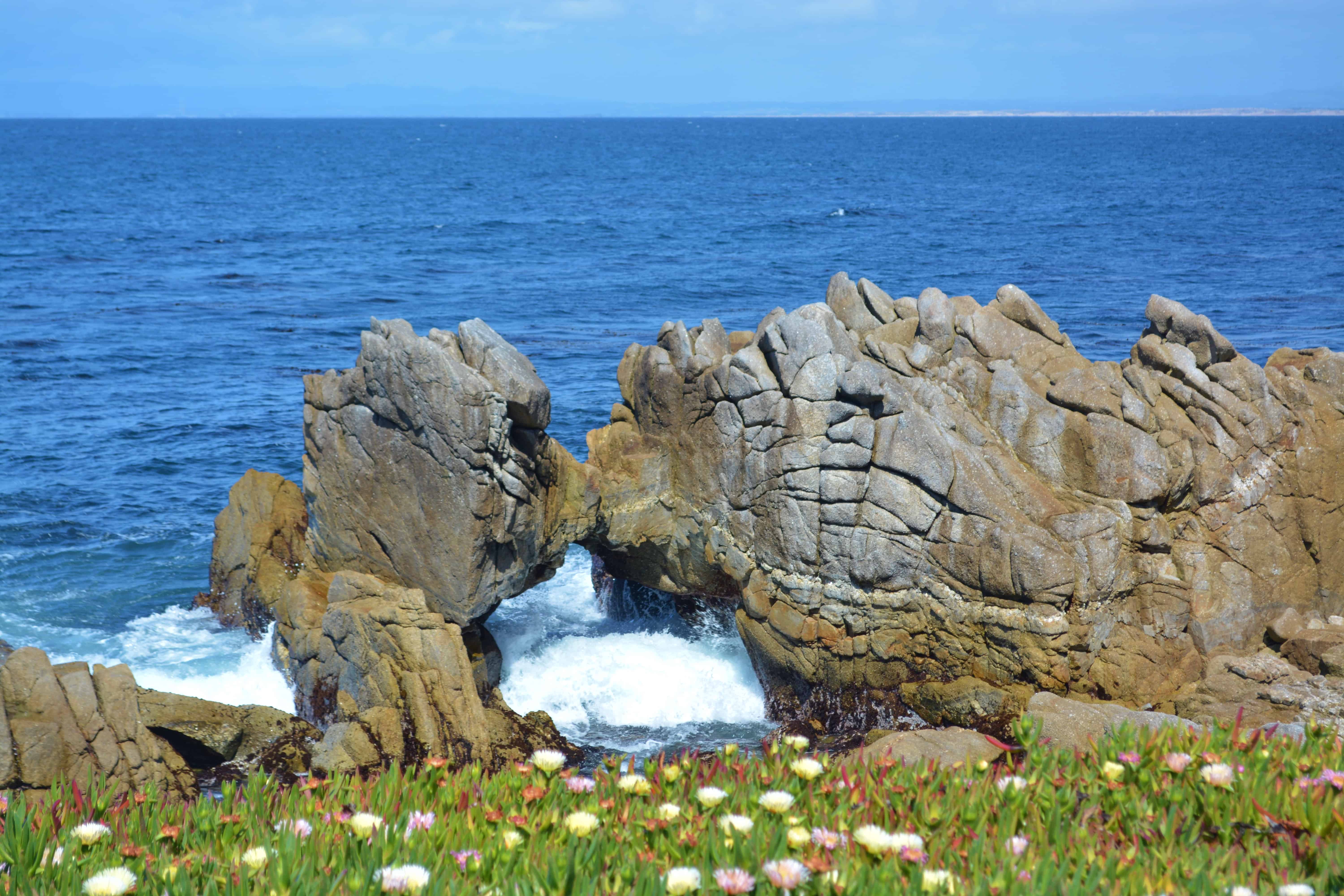 Mother Nature's Magic Monterey