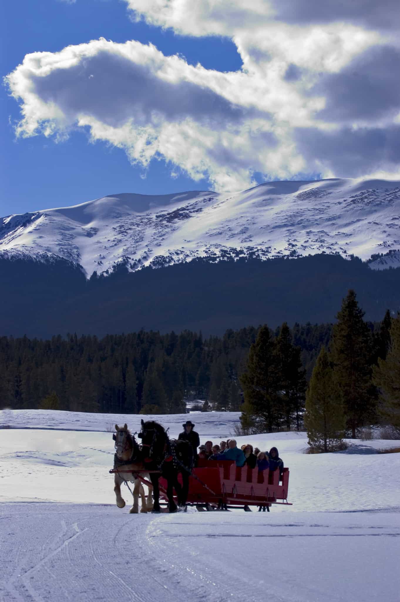 Sleigh Ride Breckenridge