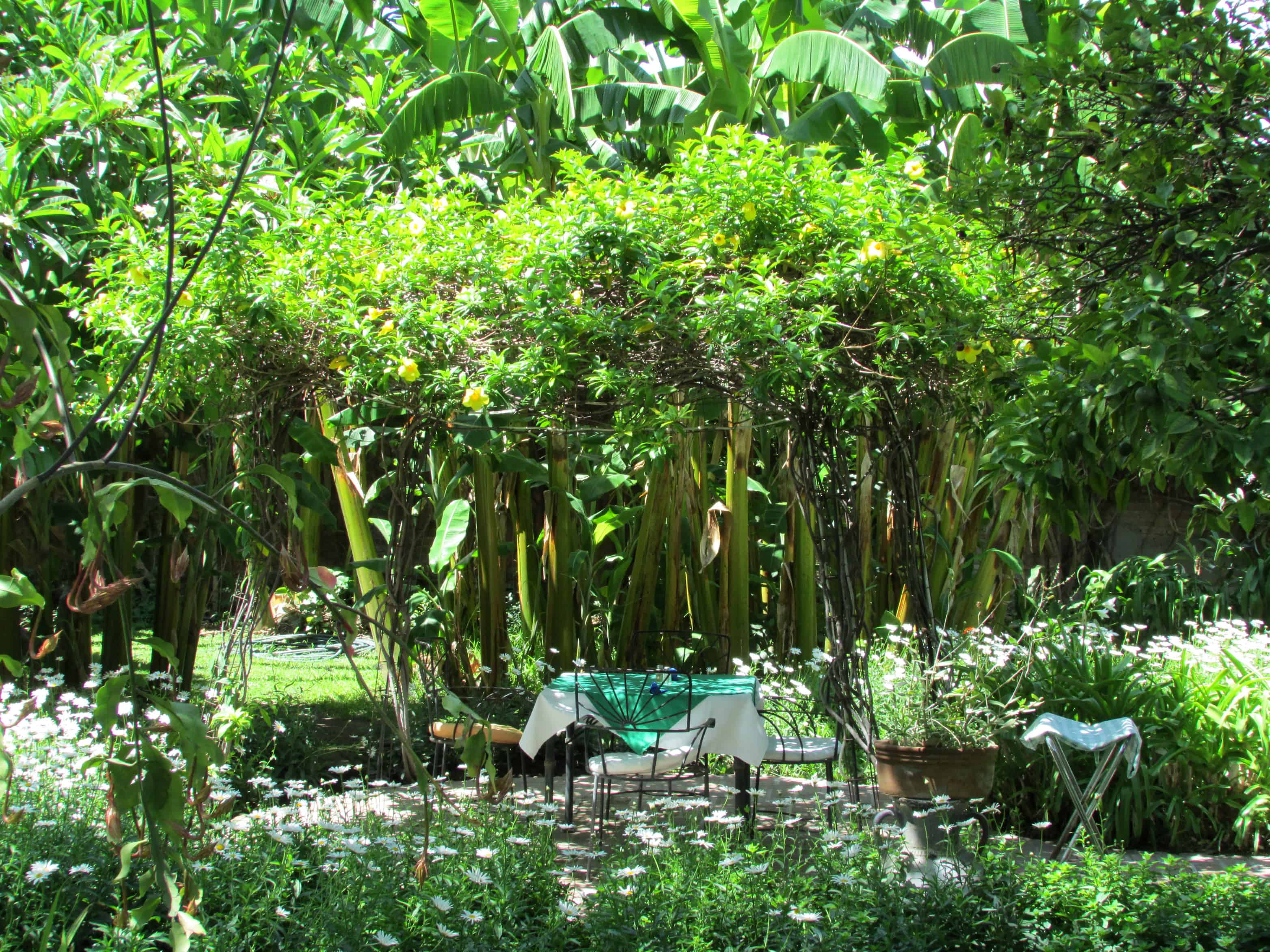 The Grounds at Peacock Garden