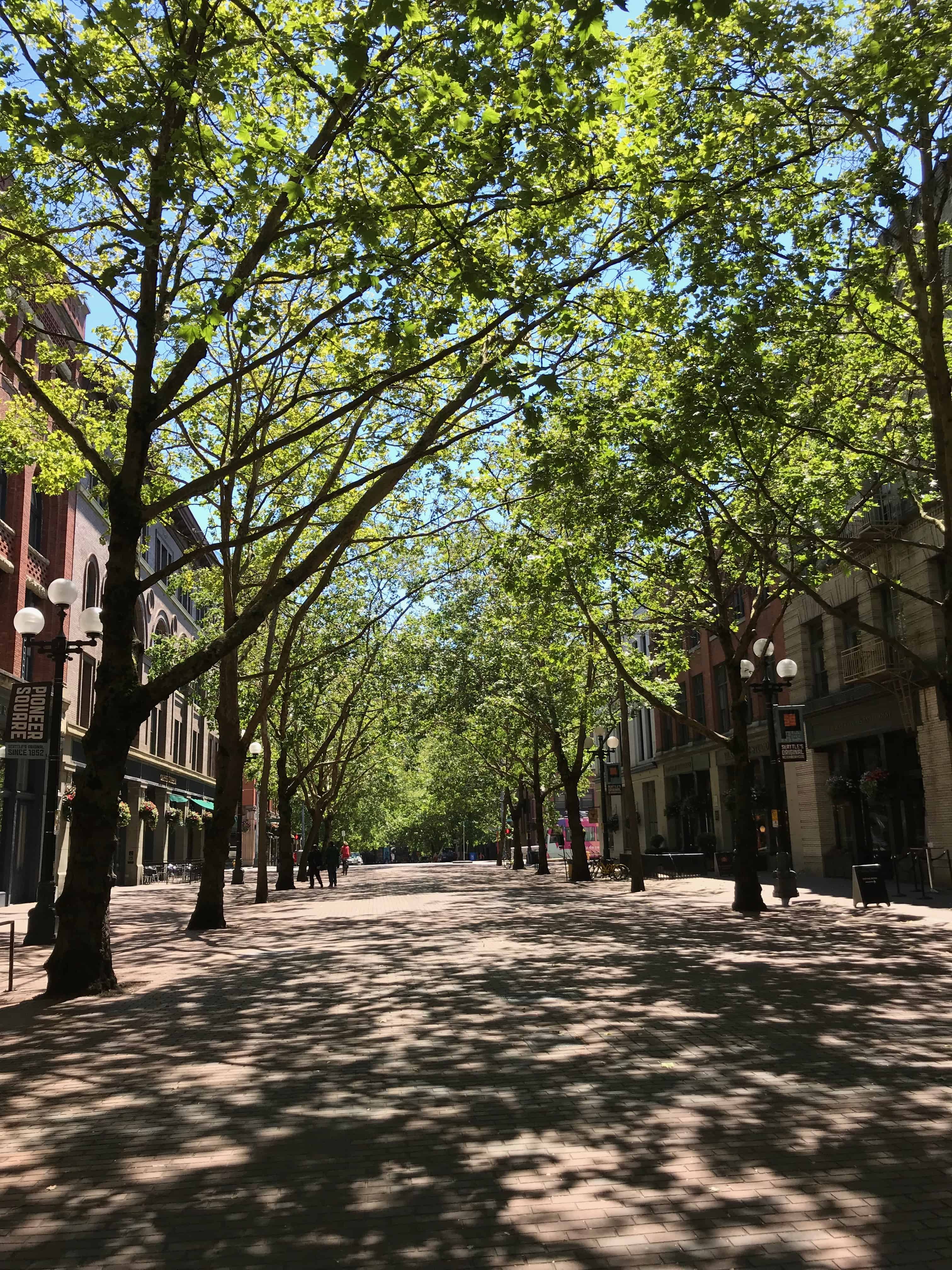 Pedestrian Only Near Pioneer Square