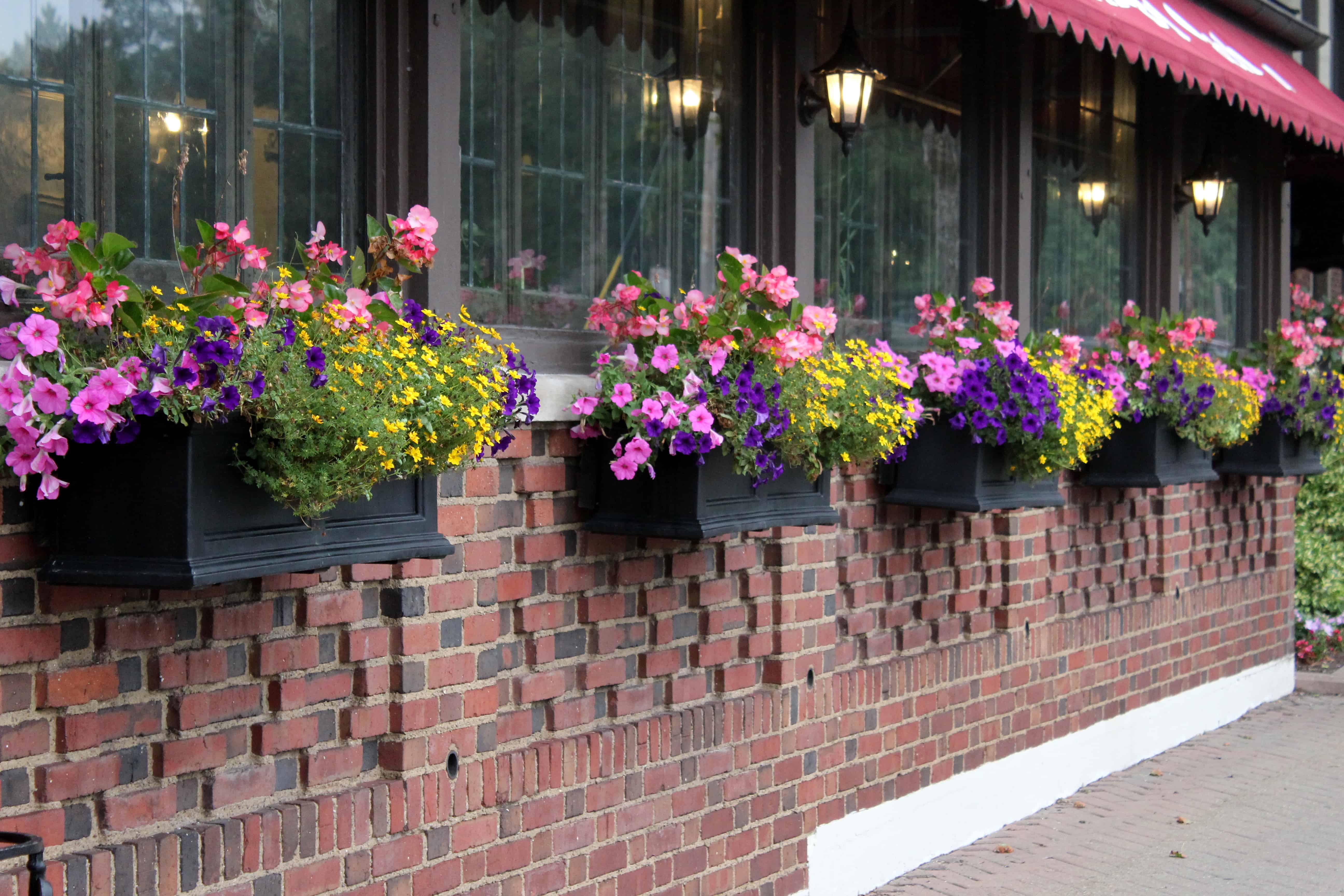 Flower Boxes at Niagara Falls Red Coach Inn