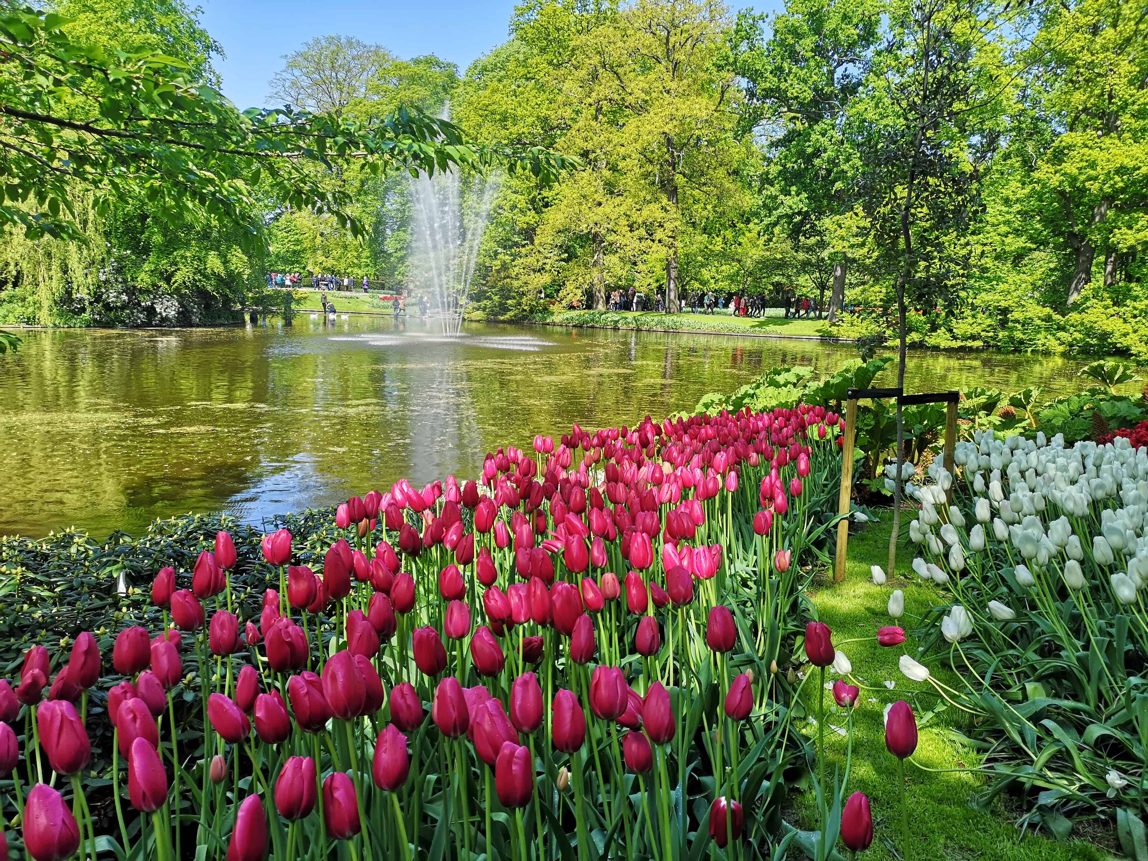 Keukenhof Gardens