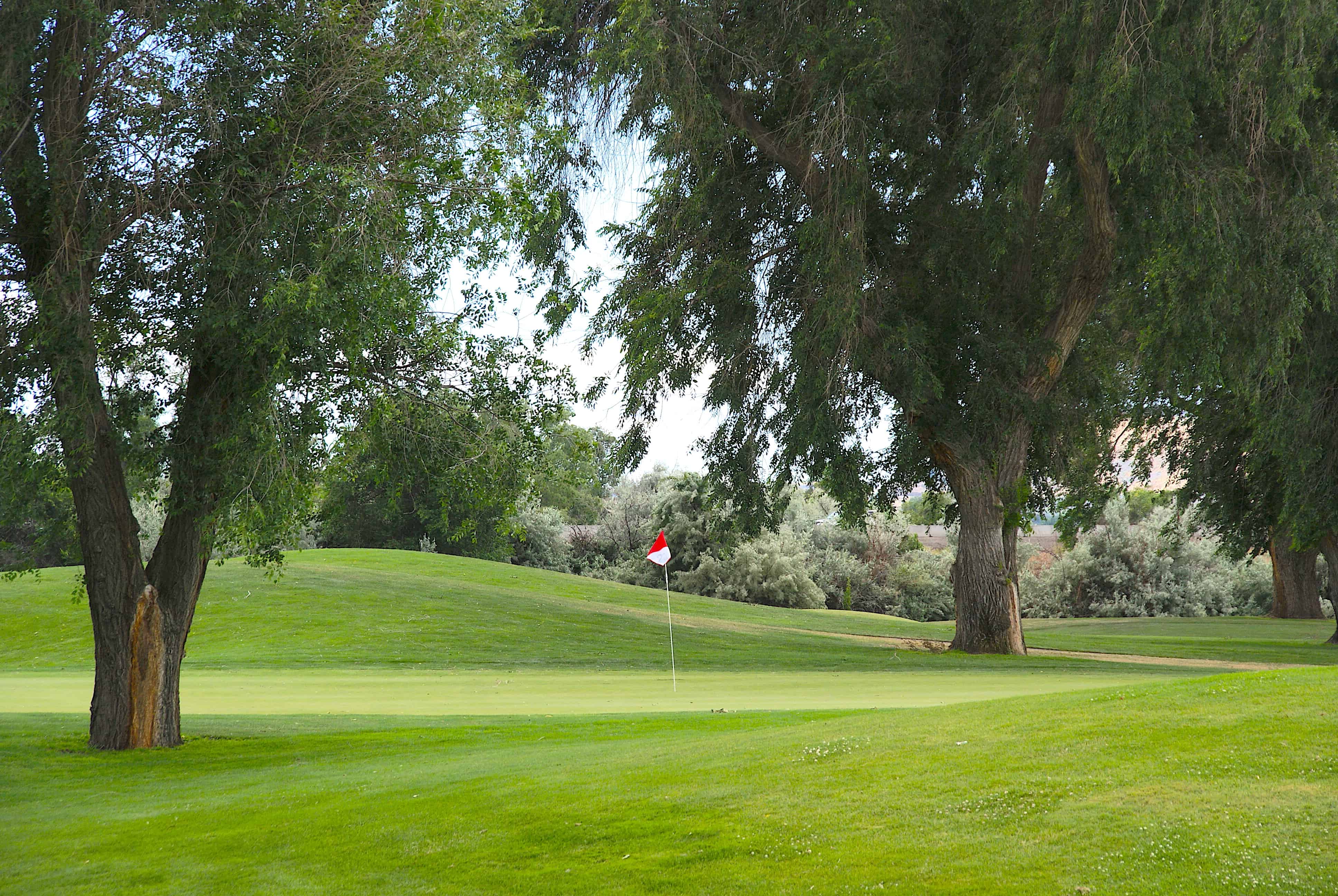 Columbia Point Golf Course Red Mountain Washington