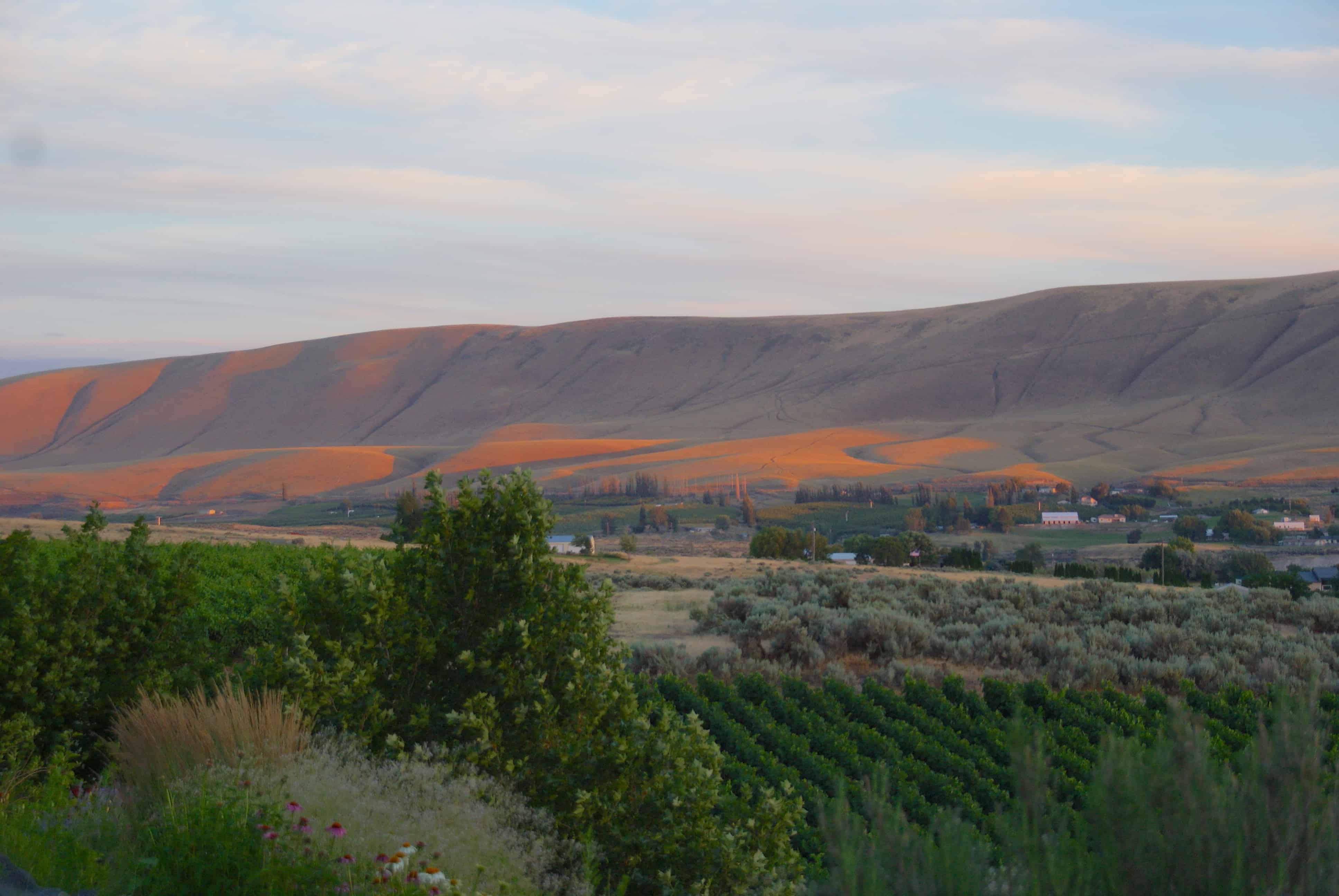 Red Mountain in Washington State