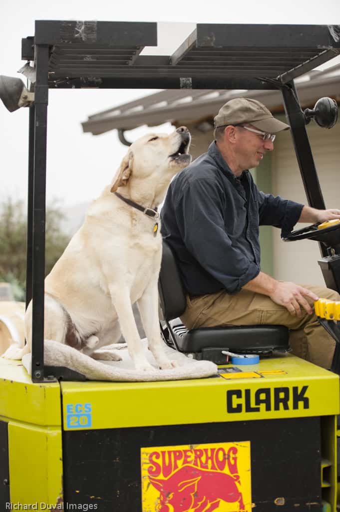 Tim and Riley on the Forklift at Hightower Cellars Red Mountain