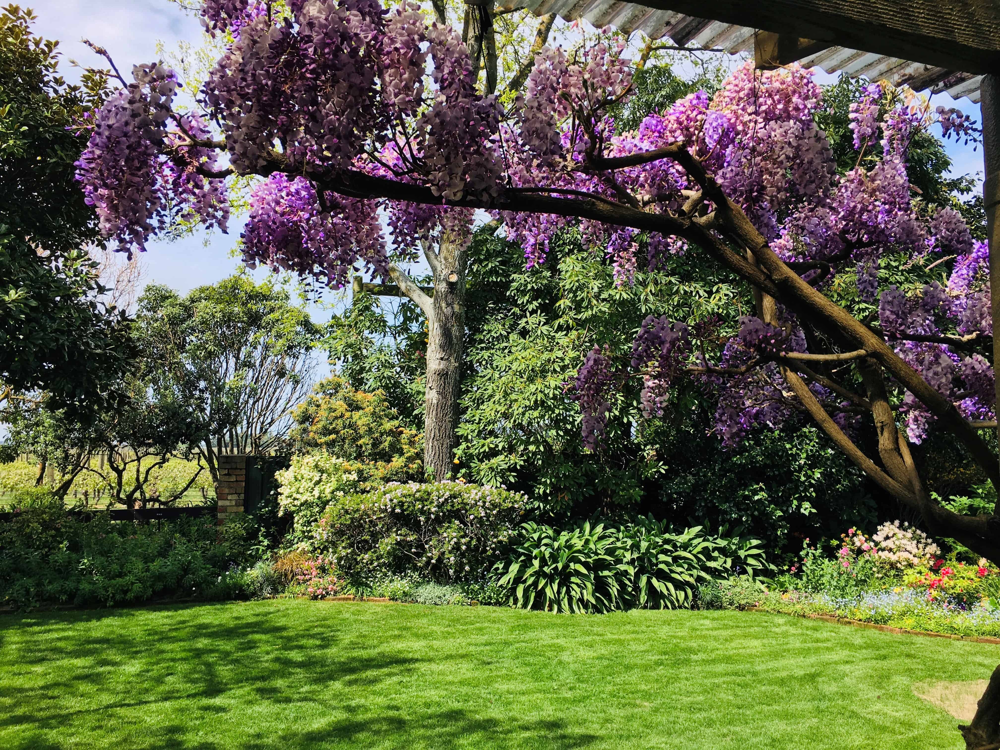 Rockferry Garden