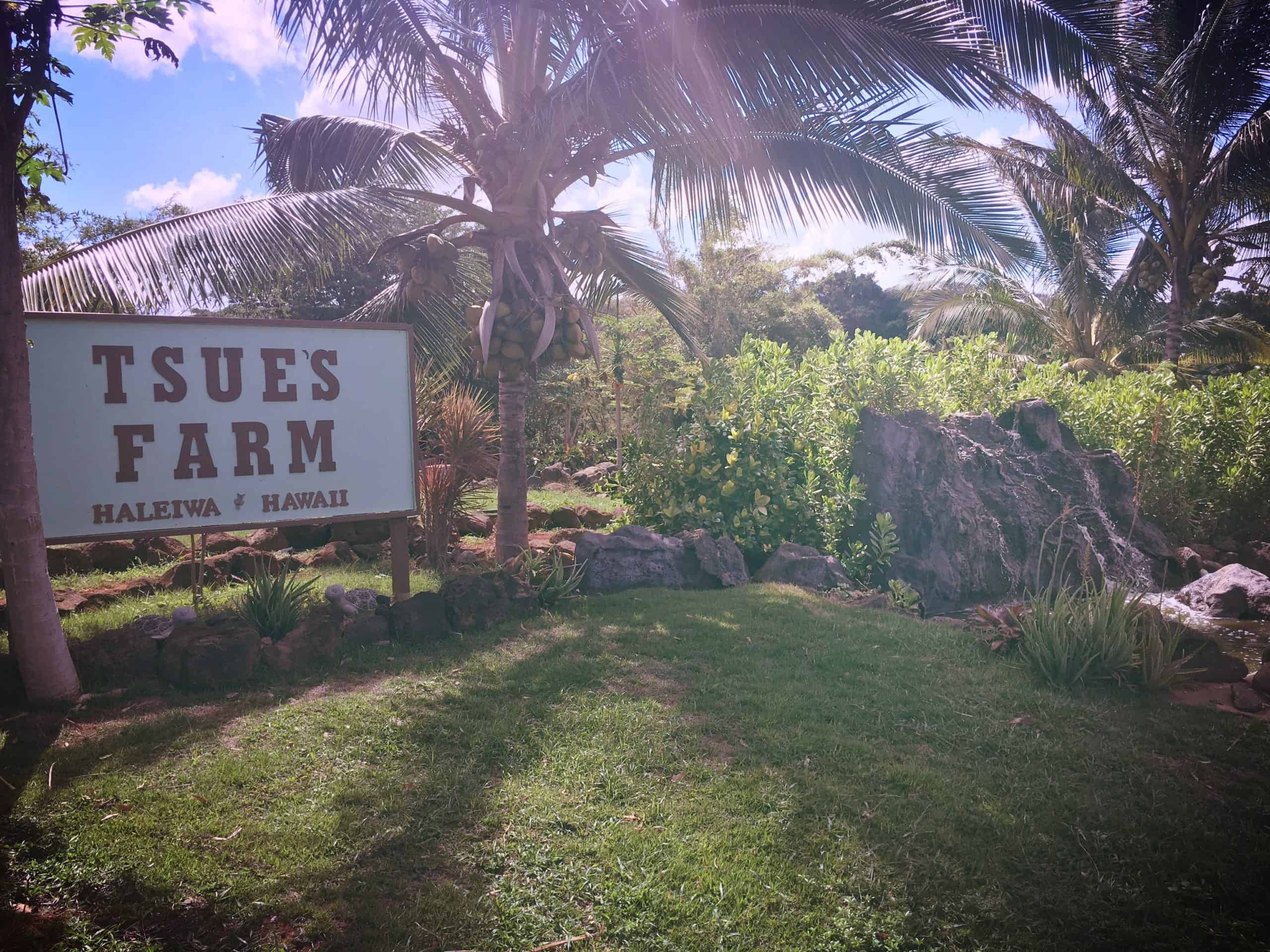 Sign in front of Tsue's Farm