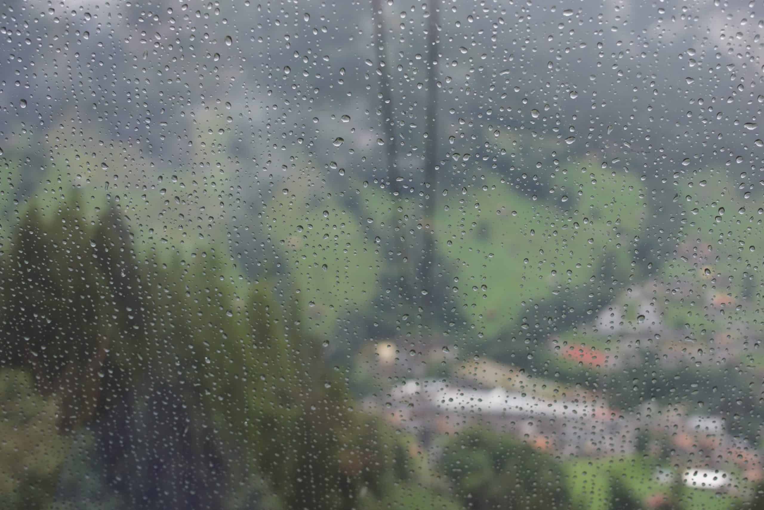 Rainy Window