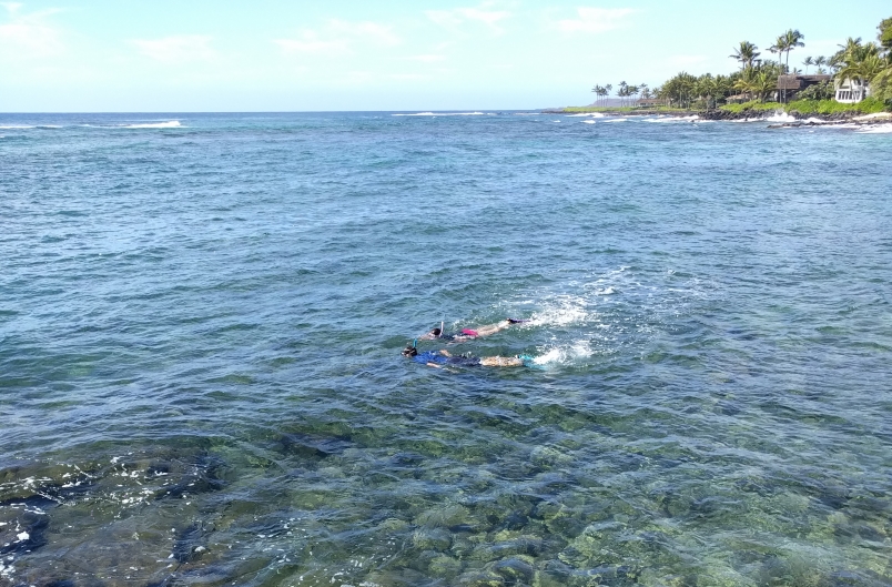 People Snorkeling at Lawai Beach
