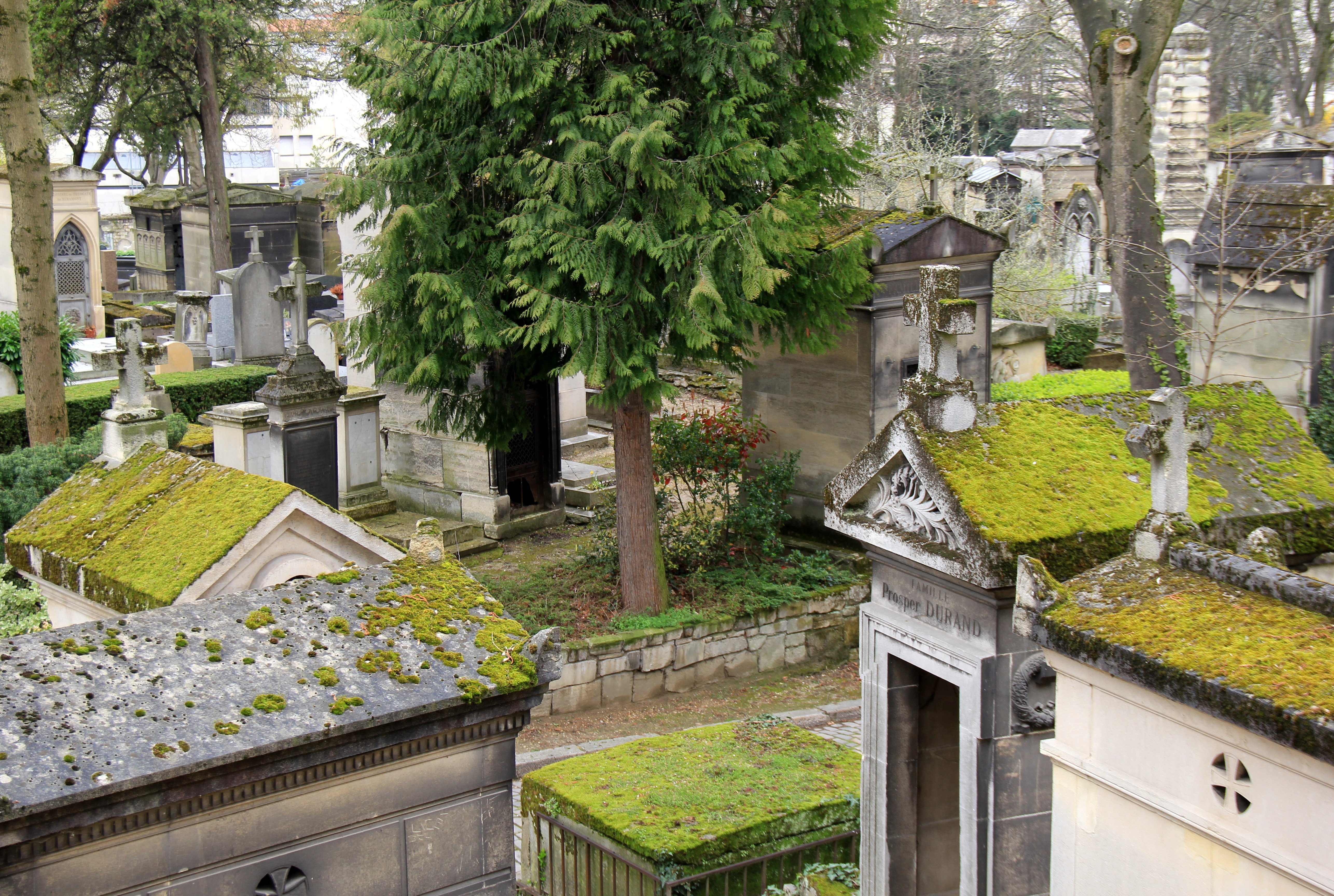 Paris Pere Lachaise Cemetery Moss