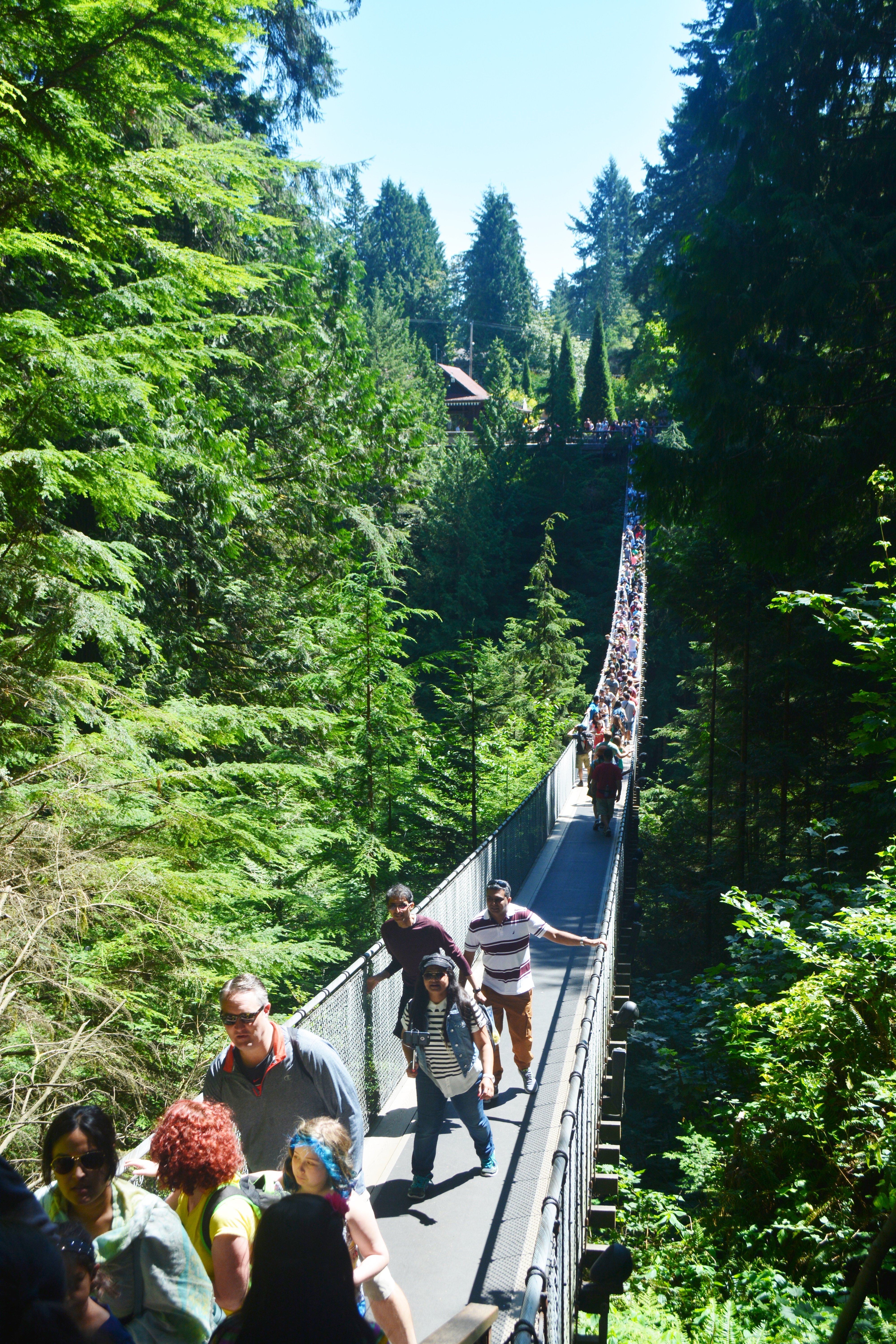 Capilano Suspension Bridge - Not to miss in Vancouver