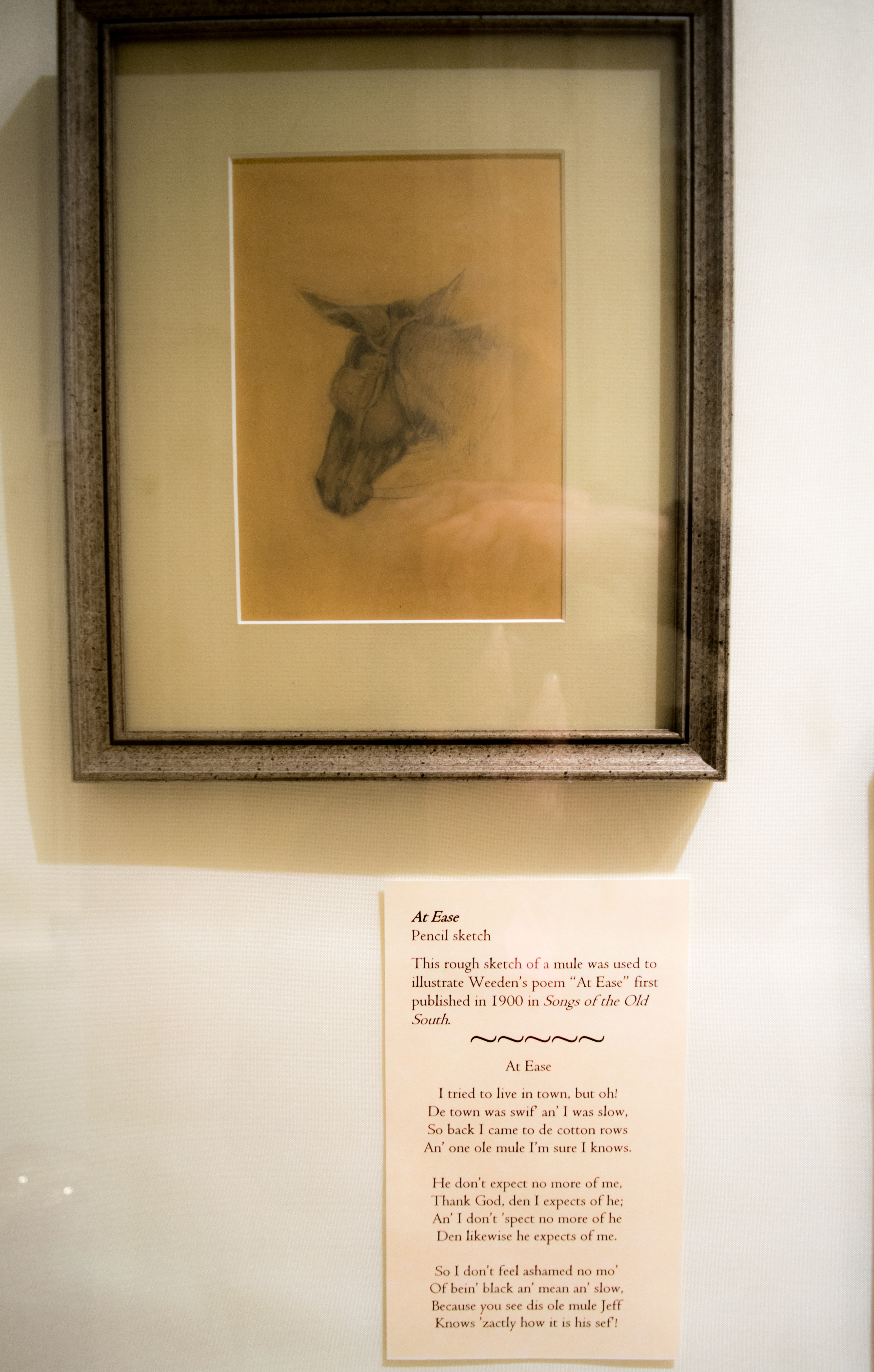 Mule Illustration and At Ease Poem - Maria Howard Weeden Exhibit