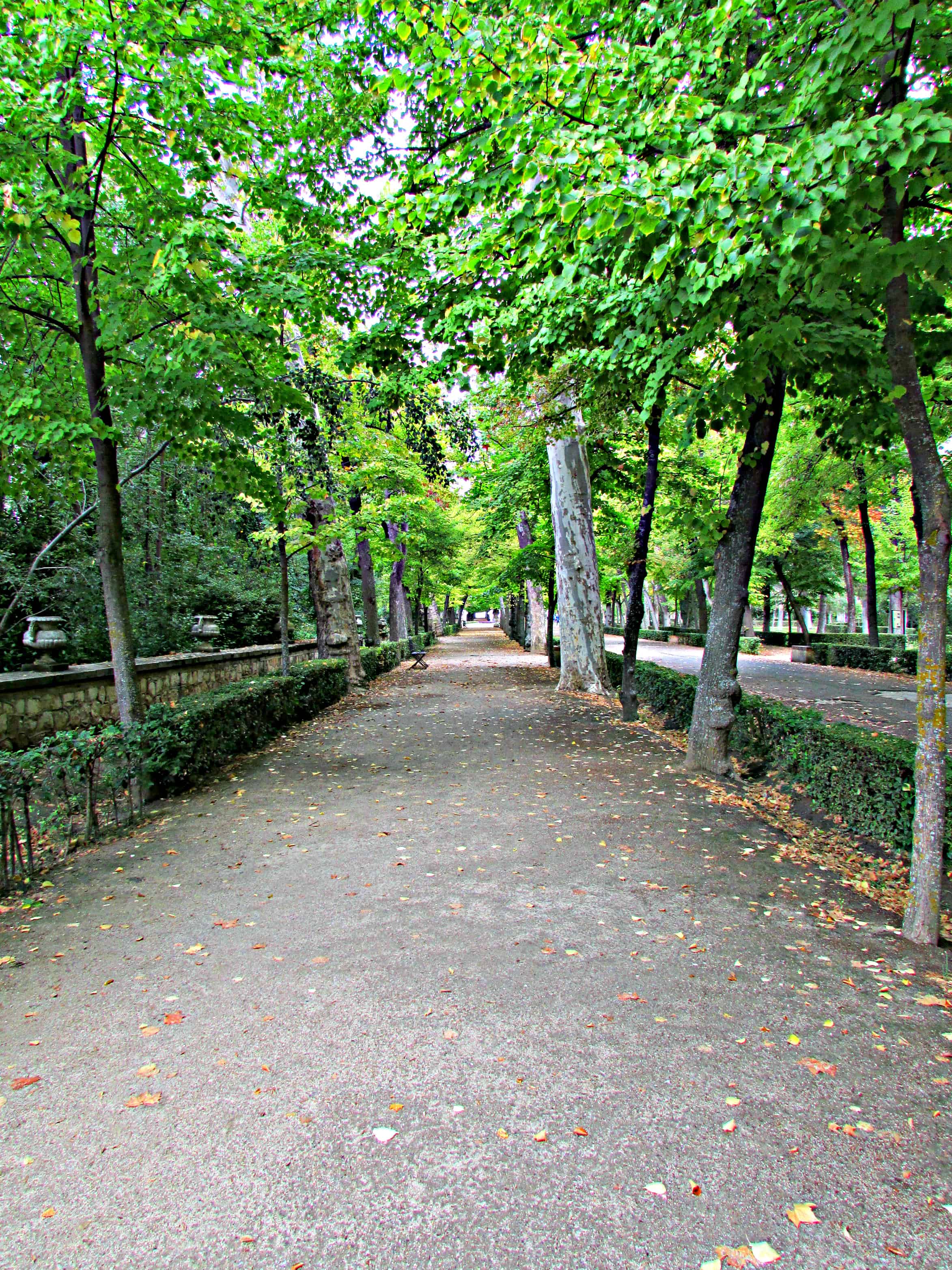 Avenue in Princes Garden Aranjuez