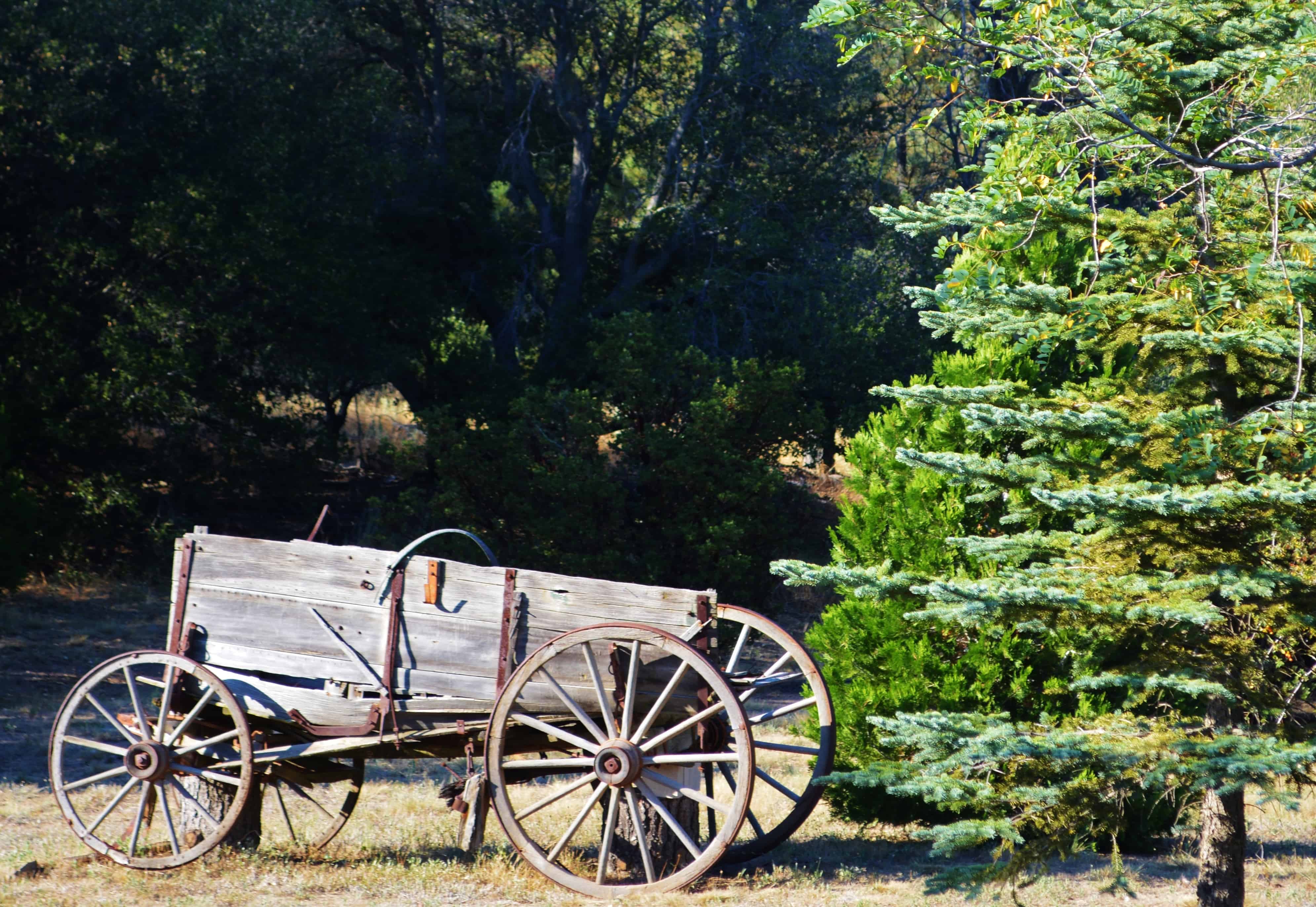 Old Wagon in Julian California