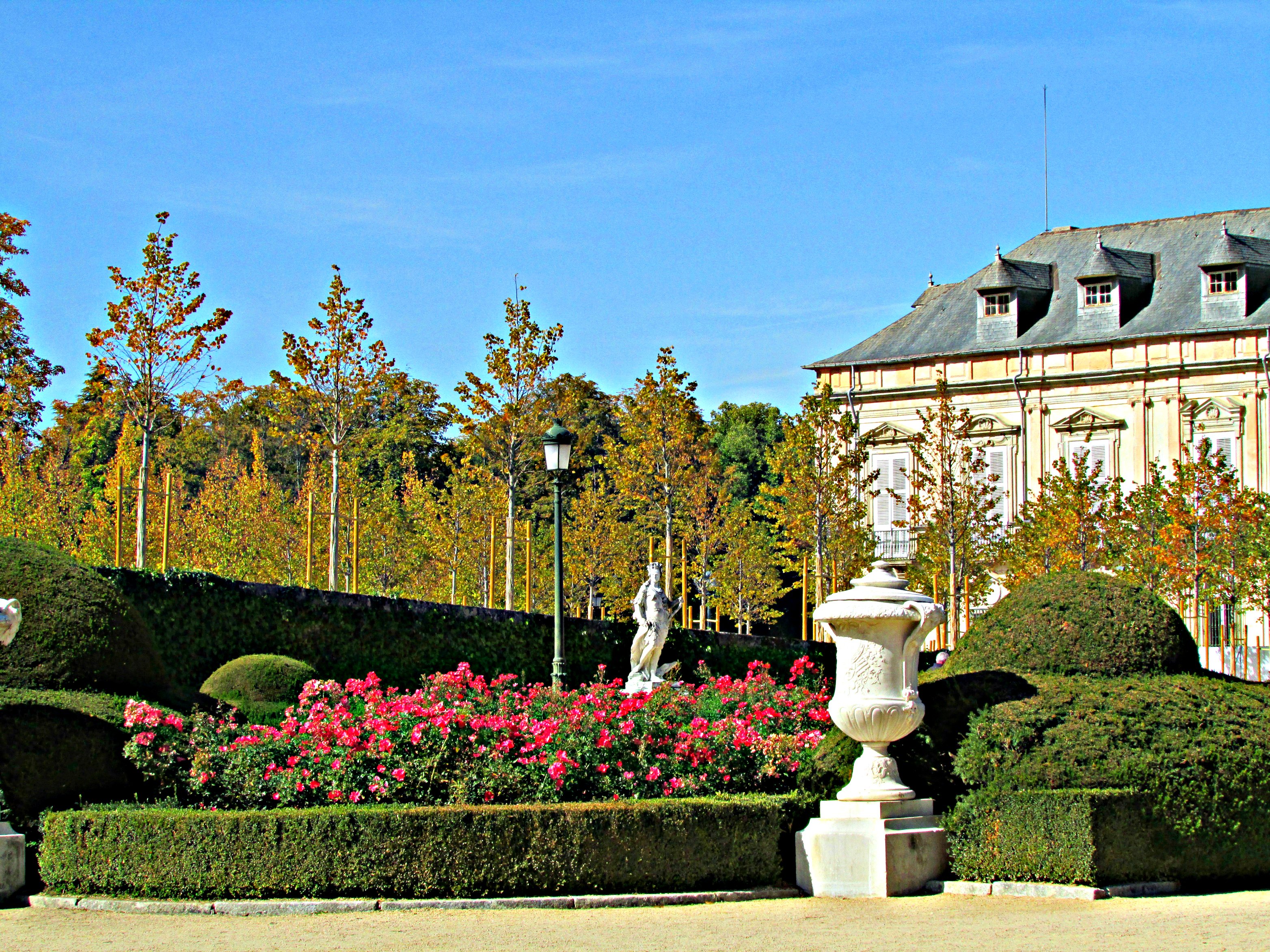 Palace of La Granja flower beds