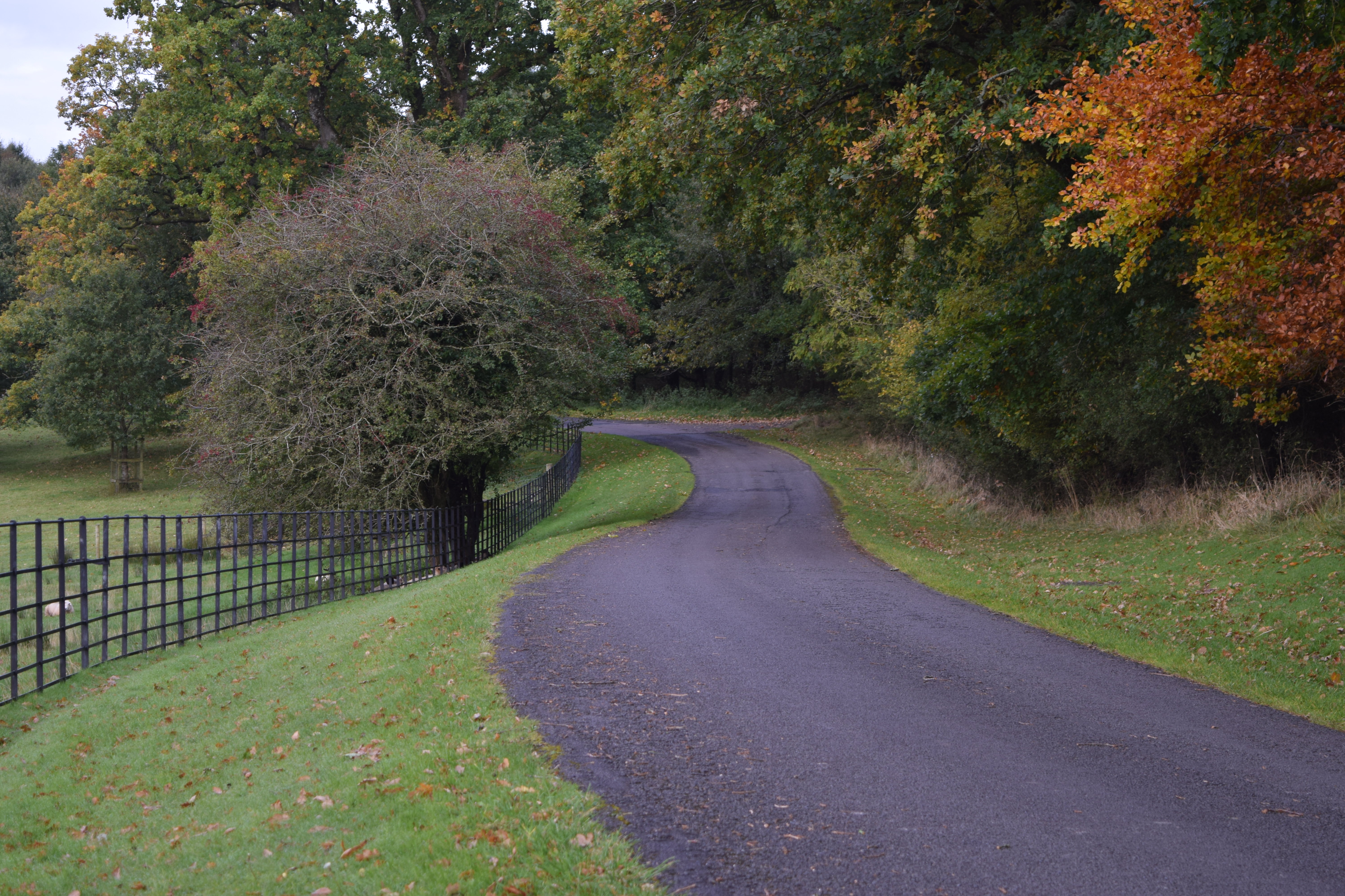 Well maintained road onto the Crom Estate.