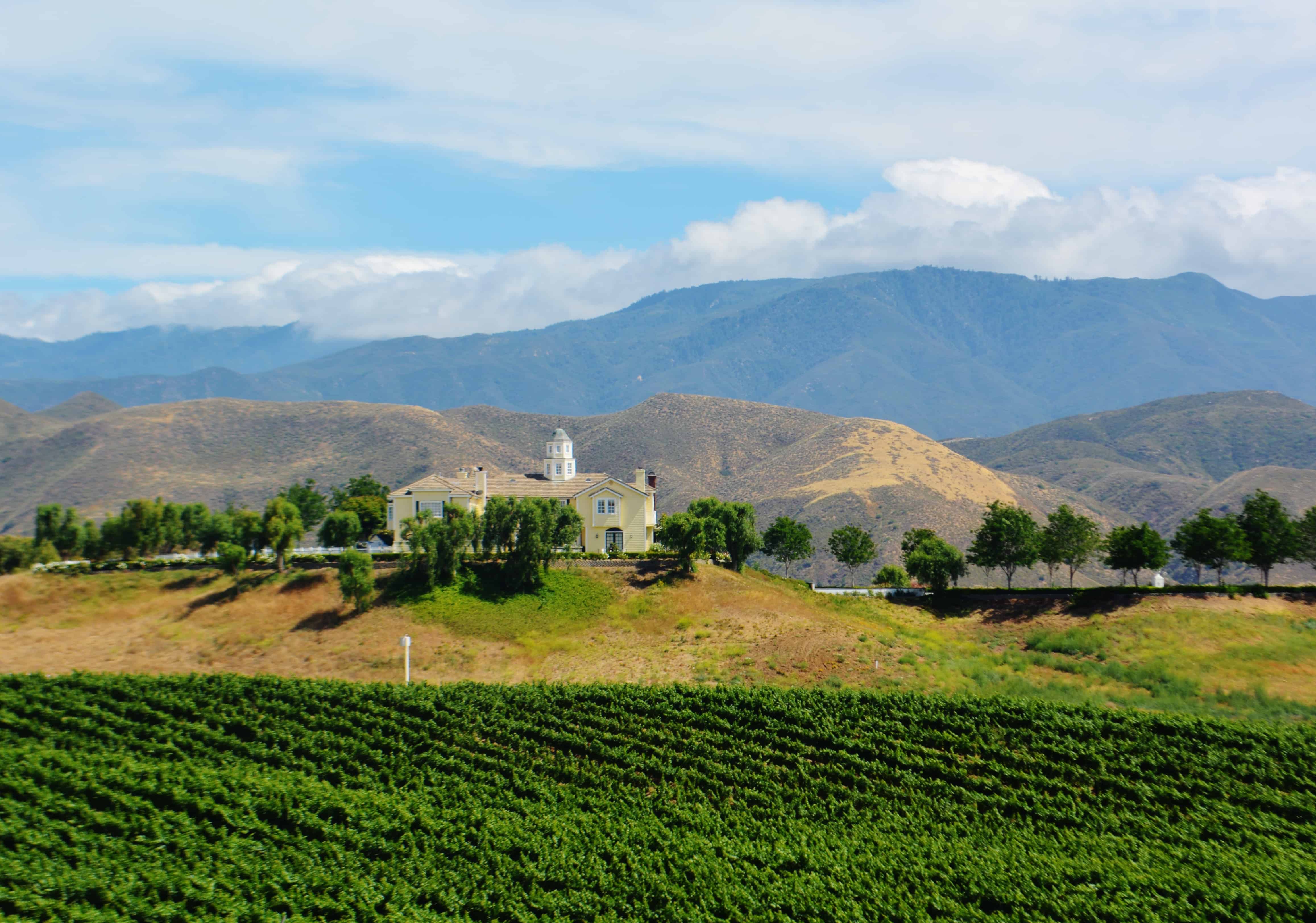 Winery and Mountain Views in Temecula California