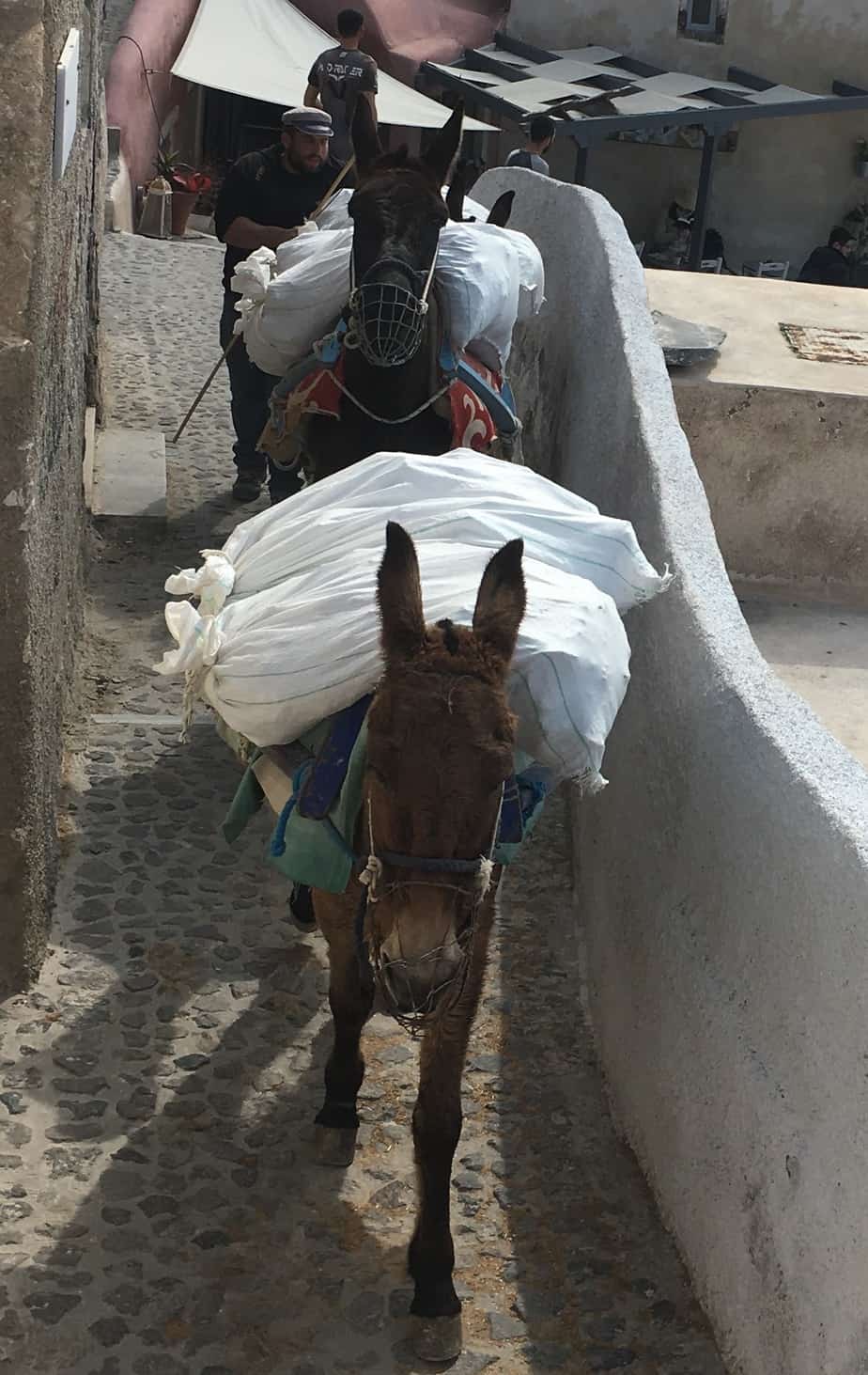 Mules Streets in Oia