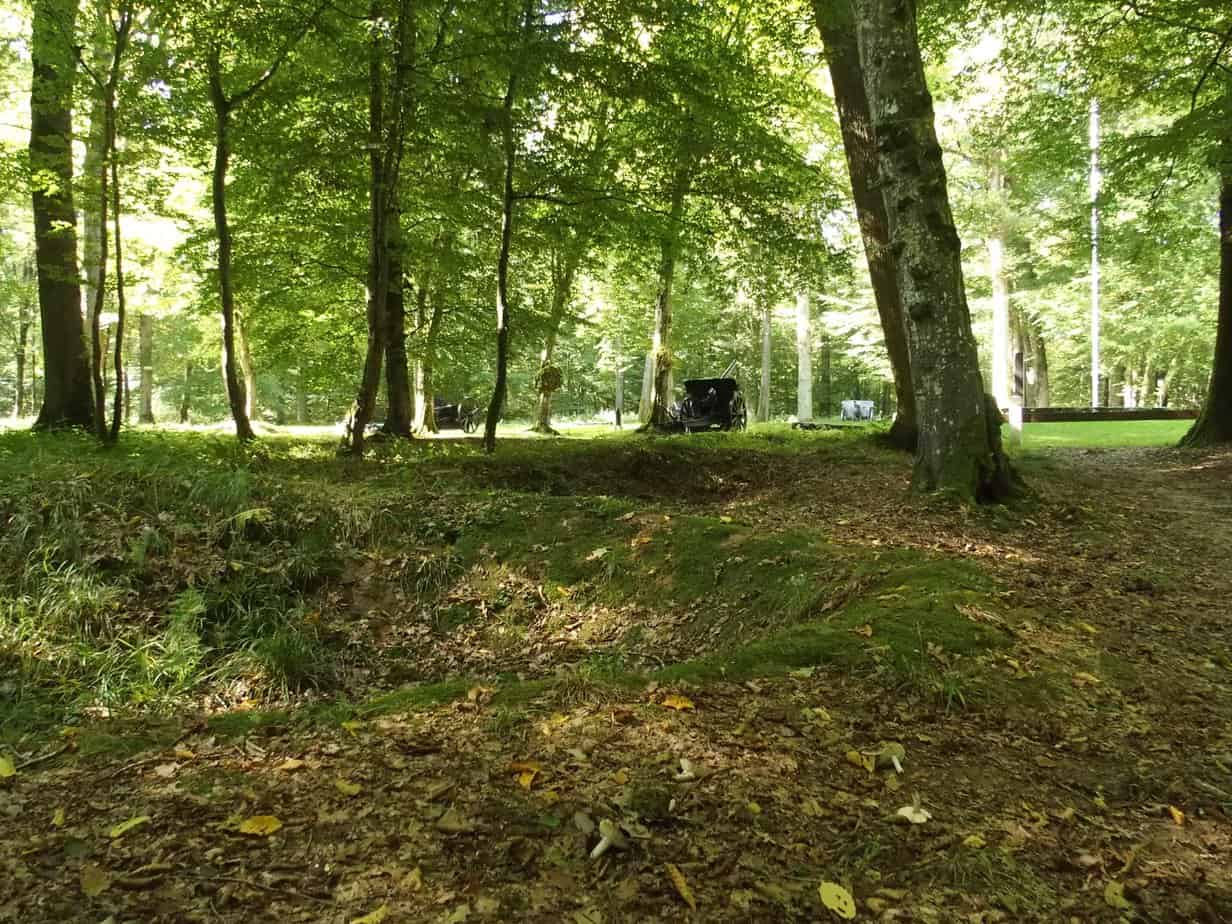 The landscape in Belleau Wood is today pockmarked by shell holes