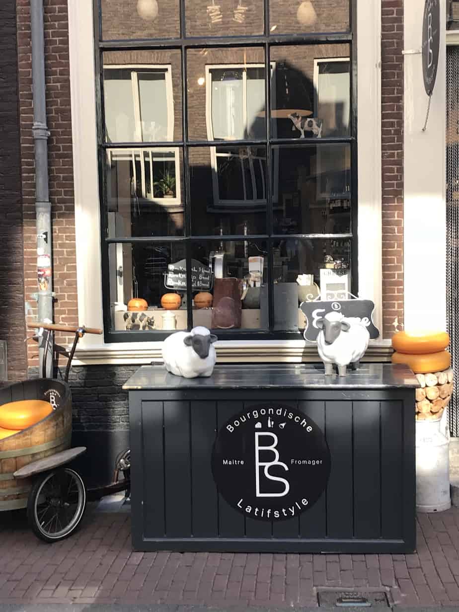 A Taste of Life in Haarlem Cheese Shop